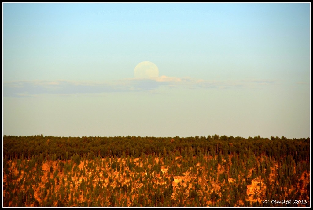 Full moon rise over Walhalla Plateau from Bright Angel Point trailhead North Rim Grand Canyon National Park Arizona