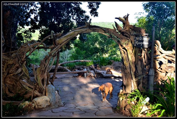 Driftwood entrance at Wild Spirit Backpackers Lodge Nature's Valley South Africa