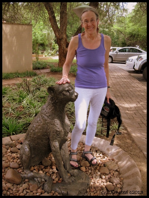 Gaelyn petting Cheeta statue Satari camp Kruger National Park Mpumalanga South Africa