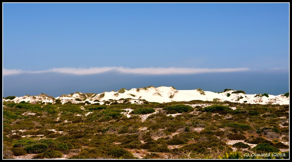 Sand dunes along the Atlantic Ocean West Coast National Park Langebaan South Africa