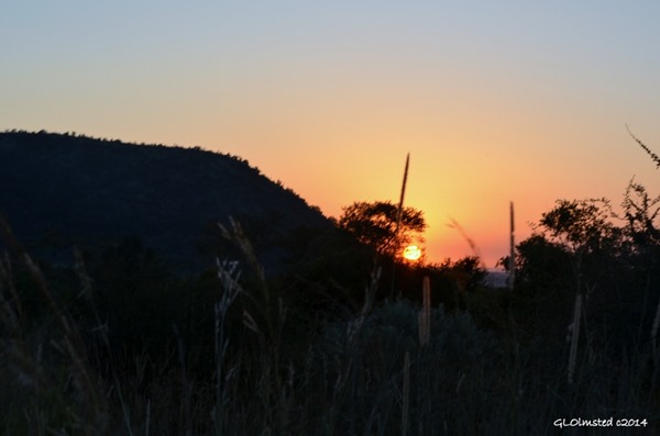 Sunrise Pilanesberg Game Reserve South Africa