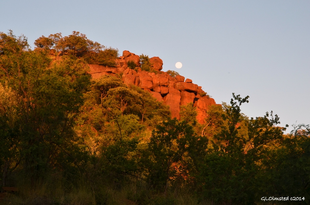 Morning light on boulders & moon Pilanesberg Game Reserve South Africa