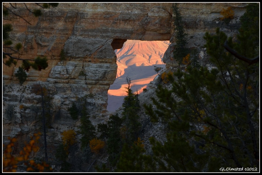Shadows  in Angels window from Cape Royal trail North Rim Grand Canyon National Park Arizona