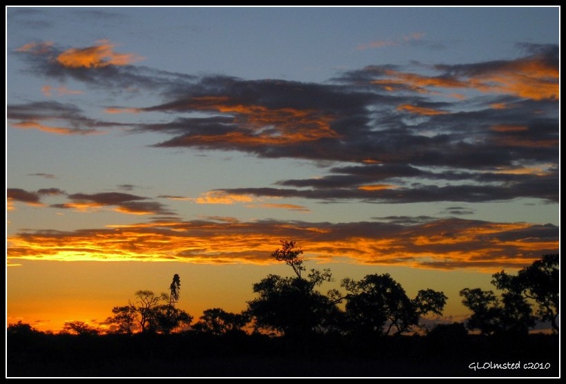 Sunset Night ride Kruger National Park Mpumalanga South Africa