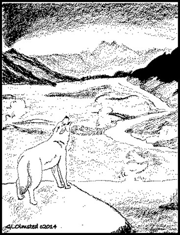 Drawing of wolf howling over canyon