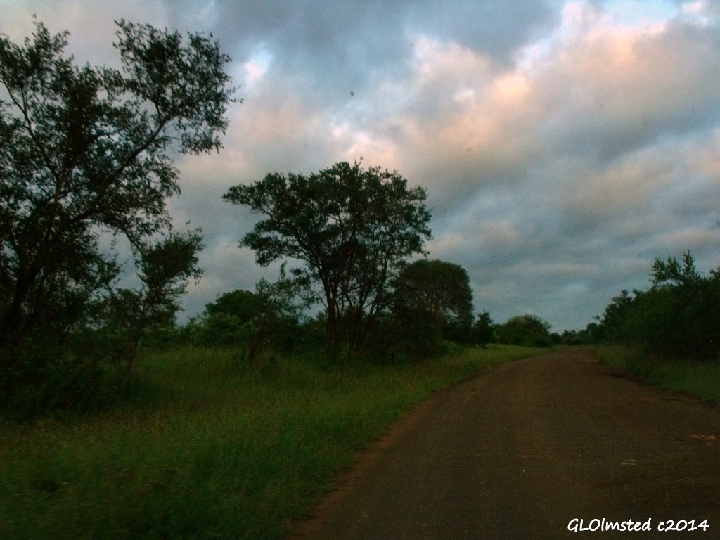 Sunrise Kruger National Park South Africa