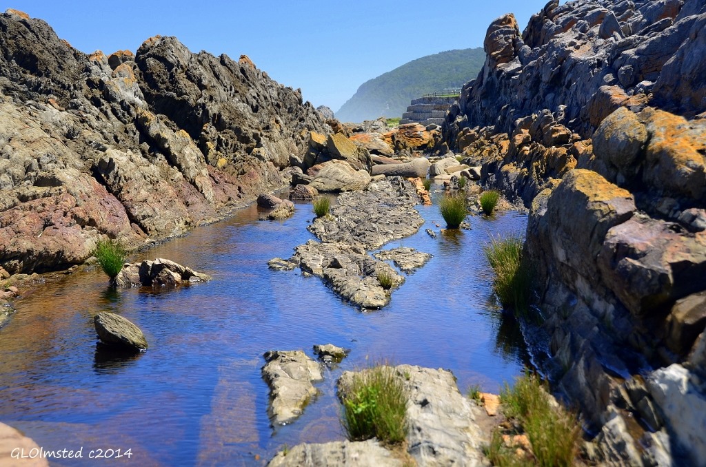Rocks & tide pools Tsitsikamma National Park South Africa