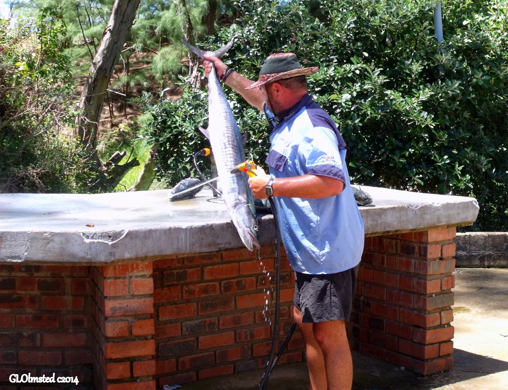 Fisherman cleaning Baracuda Cape Vidal Sodwana Bay National Park South Africa