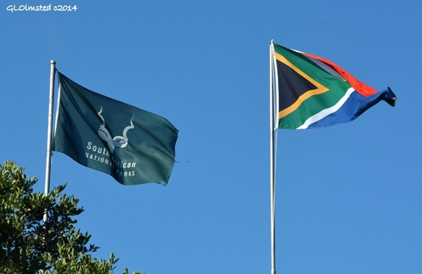 SANParks & South African flags above Letaba camp Kruger National Park South Africa