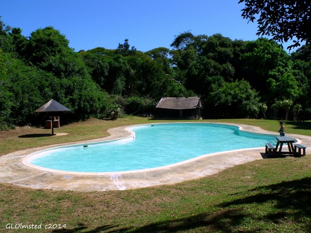 Swimming pool Sugarloaf Camp St Lucia Marine Reserve iSimangaliso Wetland Park South Africa)