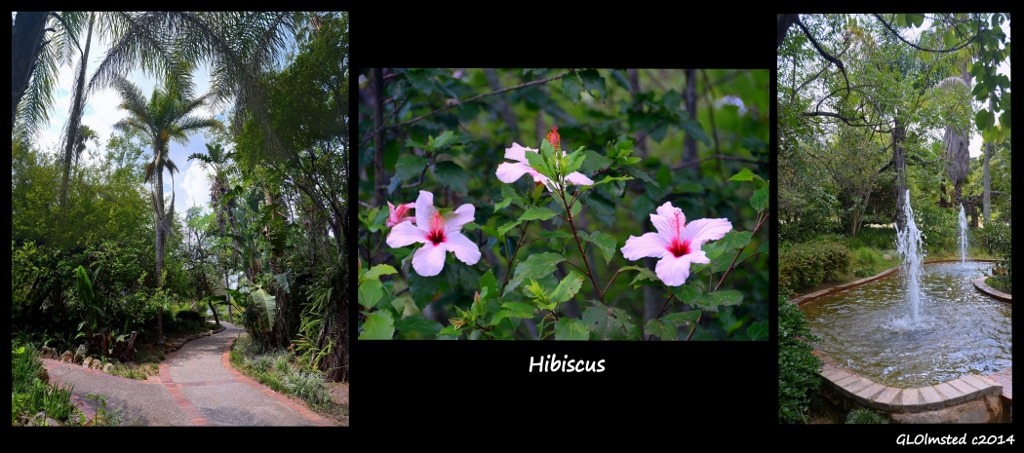 Hibiscus & Garden Forever Resort Badplaas South Africa