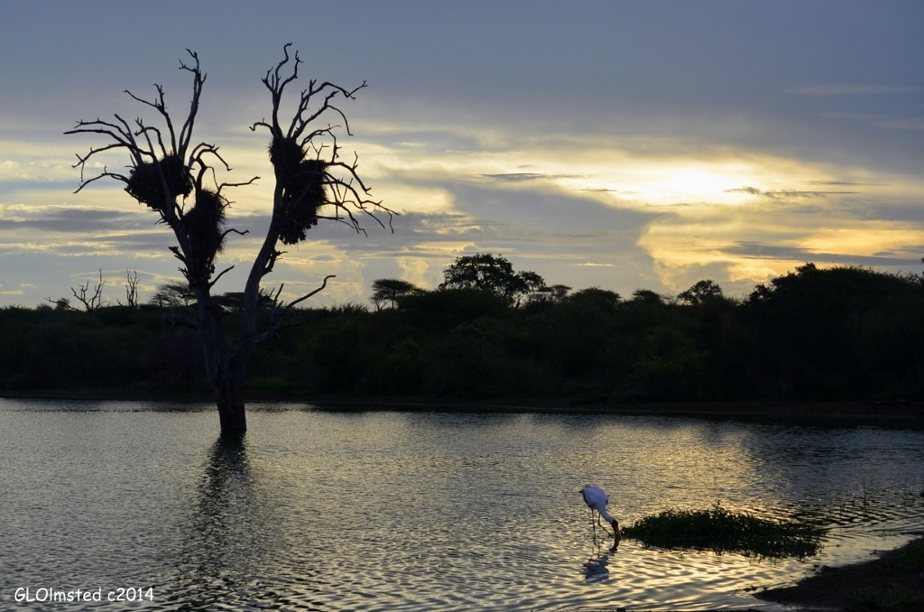 Sunset Kruger National Park South Africa