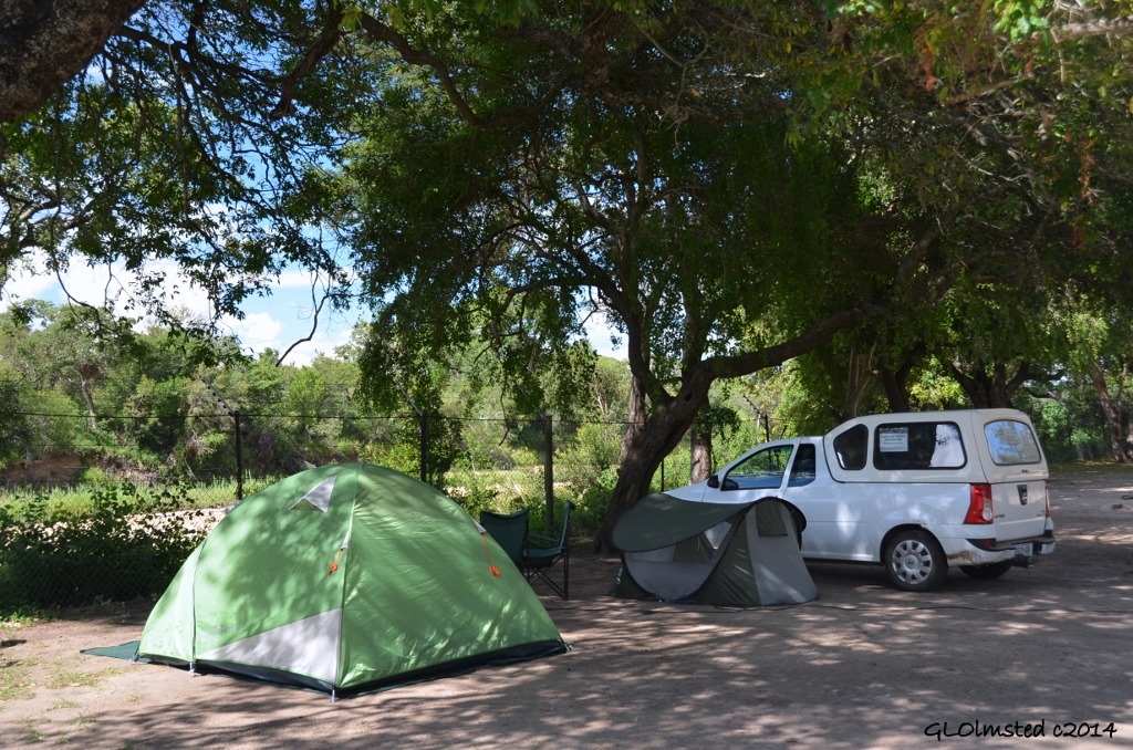 Maroela Camp Kruger National Park South Africa
