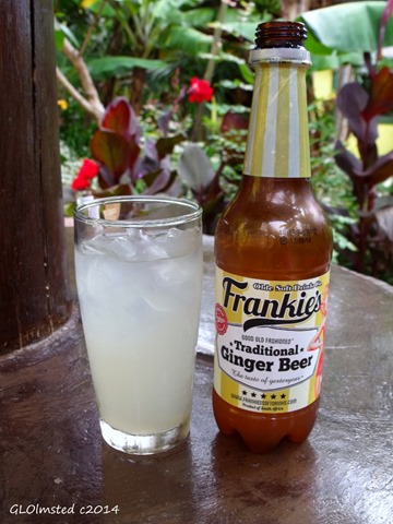 Frankie's Ginger Beer Mac Banana Port Edward South Africa