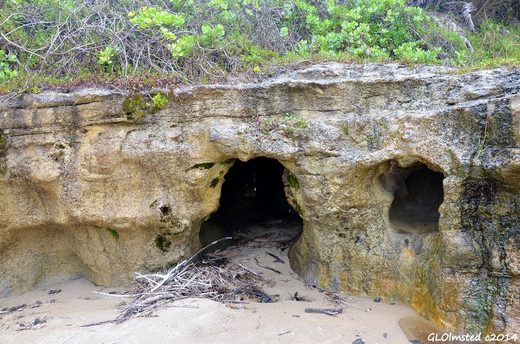 Caves Wild Coast Sun Port Edward South Africa