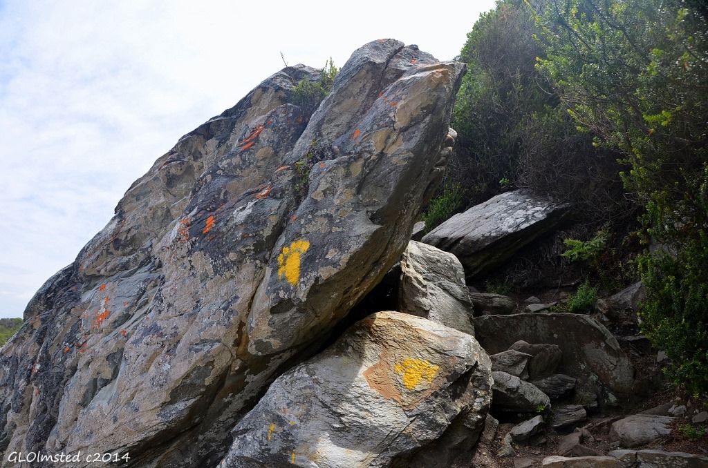 Yellow footprints on Waterfall trail Tsitsikamma National Park South Africa