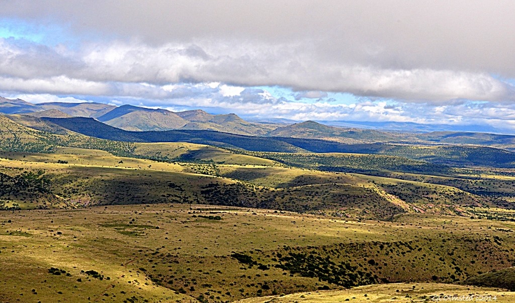 View across Mountain Zebra National Park South Africa