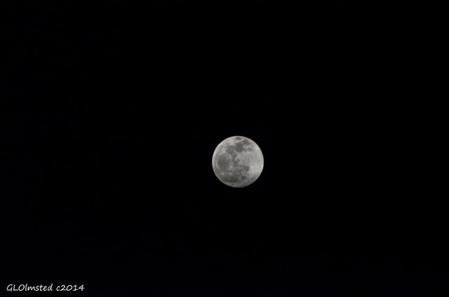 Full moon Yarnell Arizona