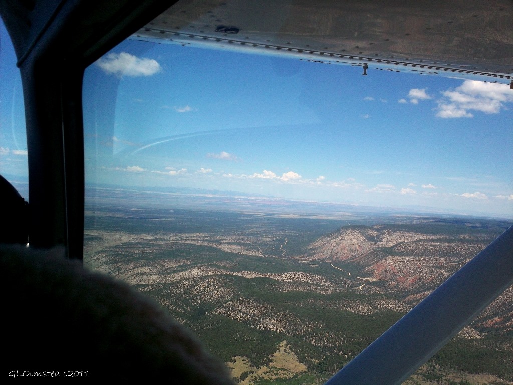 Flying over Kaibab National Forest Arizona