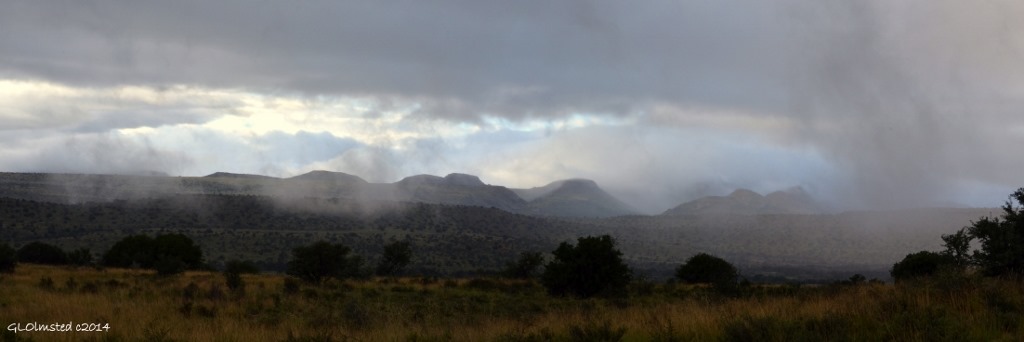 Morning view Mountain Zebra National Park South Africa