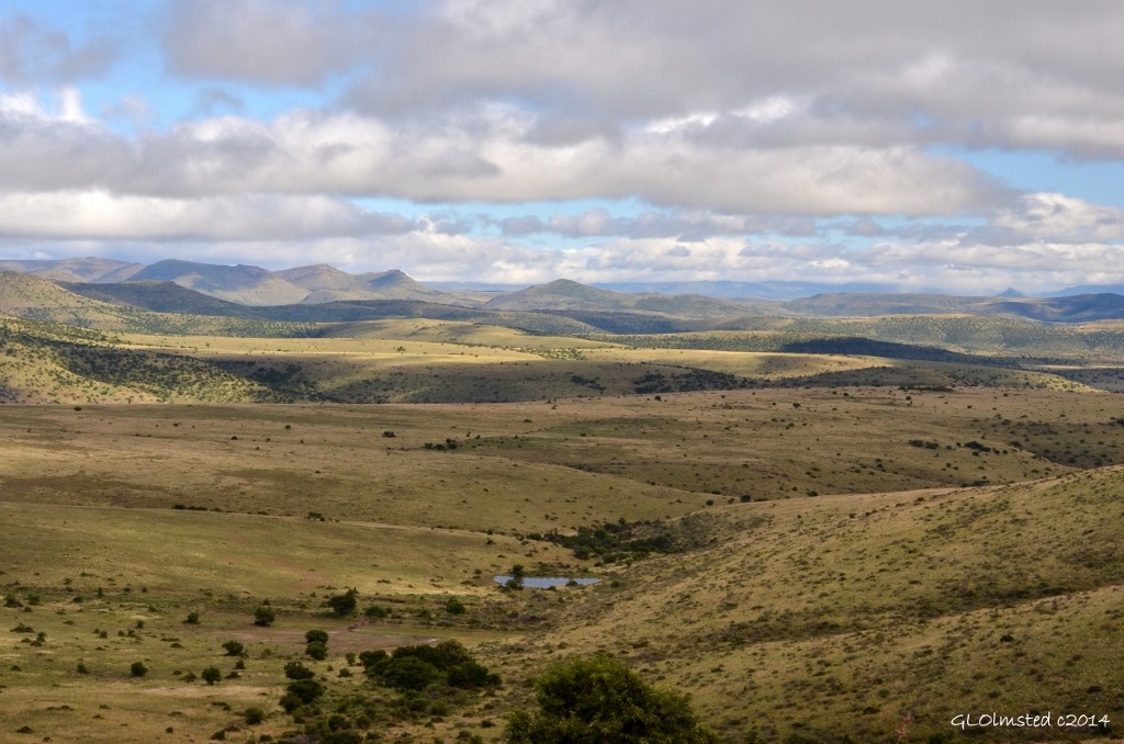 View from Rooiplaat Loop road Mountain Zebra National Park South Africa