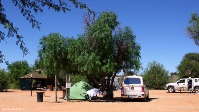 Our camp Twee Rivieren Kgalagadi Transfrontier Park South Africa