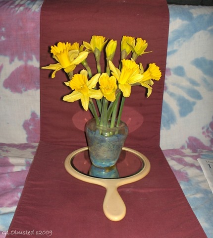 05 a3444 Daffodils day 2 Yarnell AZ fff62 (918x1024)