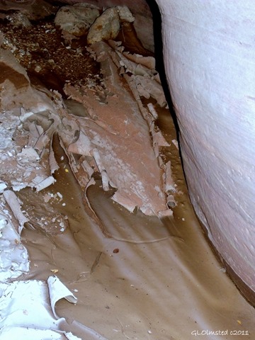 06 832 Dried & curled mud Buckskin Gulch slot canyon N GRSE NM UT fff66 (768x1024)