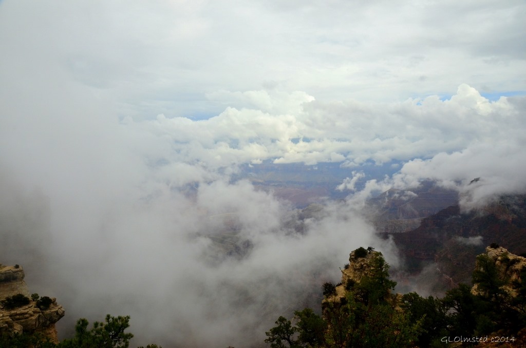 Cloudy view of canyon Walhalla Plateau North Rim Grand Canyon National Park Arizona