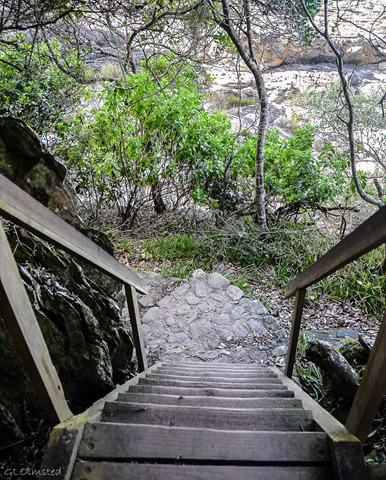 Stairs down Waterfall trail Tsitsikamma National Park South Africa