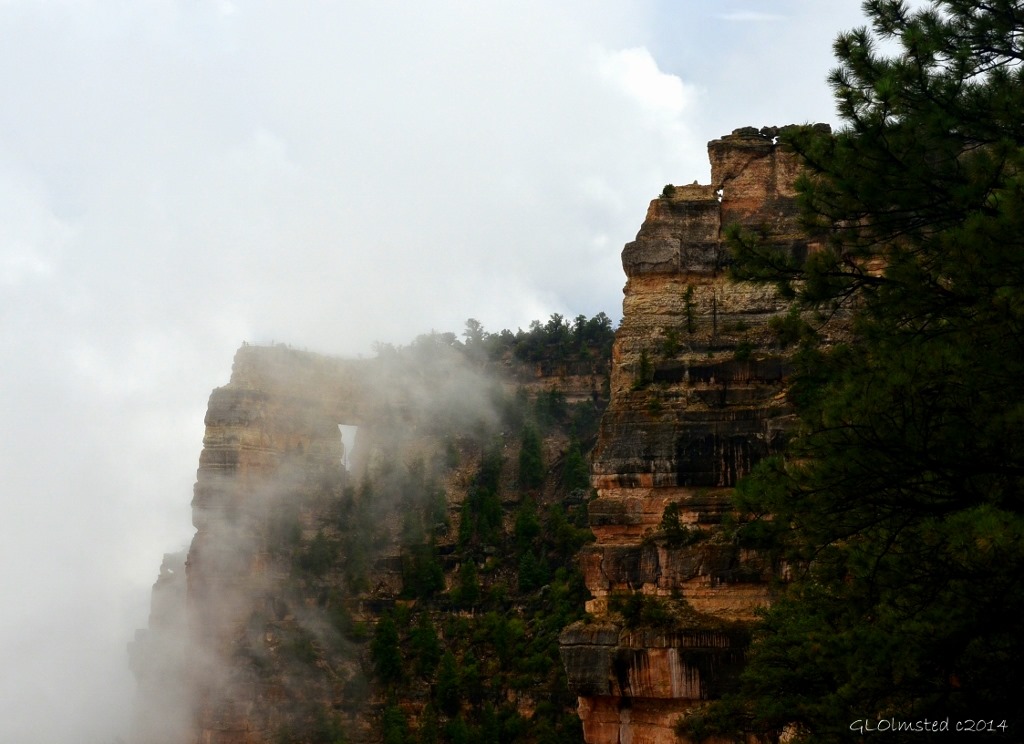 Foggy view of Angels Window Walhalla Plateau North Rim Grand Canyon National Park Arizona