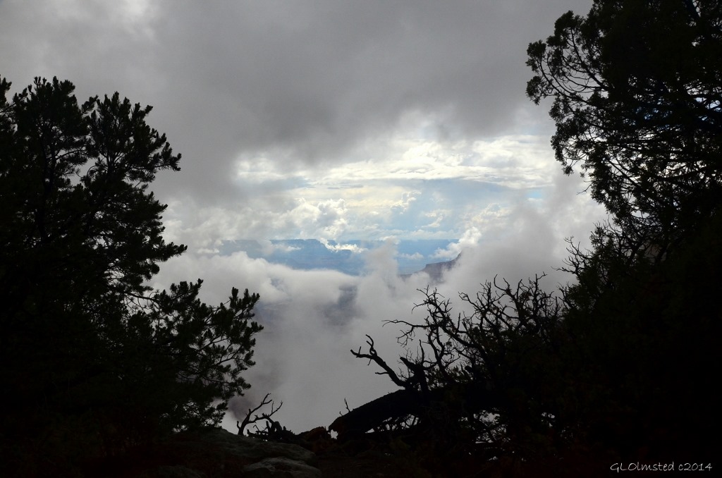 Cloudy view of canyon Cape Royal Walhalla Plateau North Rim Grand Canyon National Park Arizona