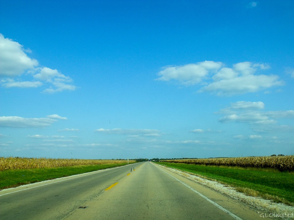 Corn fields along SR6 east of Utica Illinois