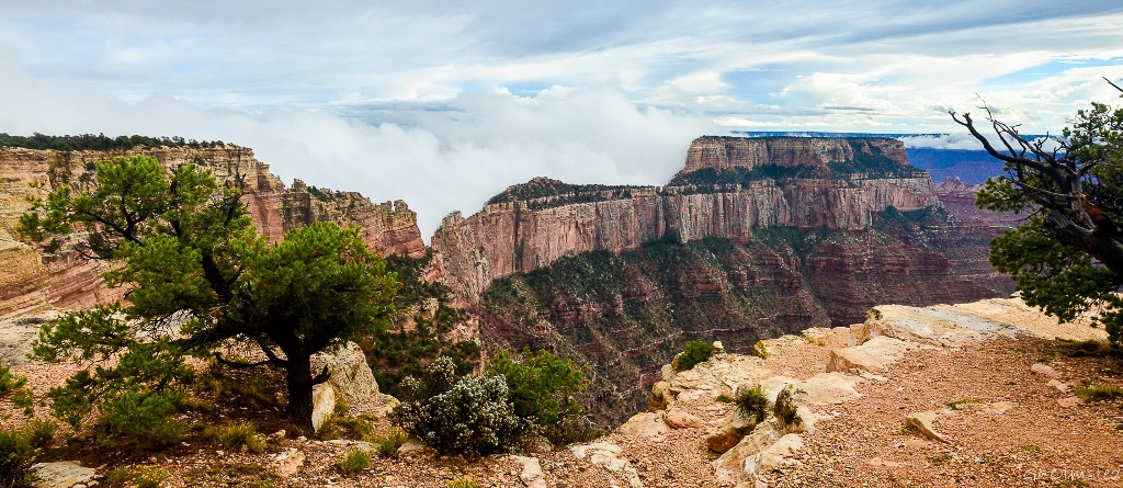 Cloud behind Wotans Throne Wedding site North Rim Grand Canyon National Park Arizona