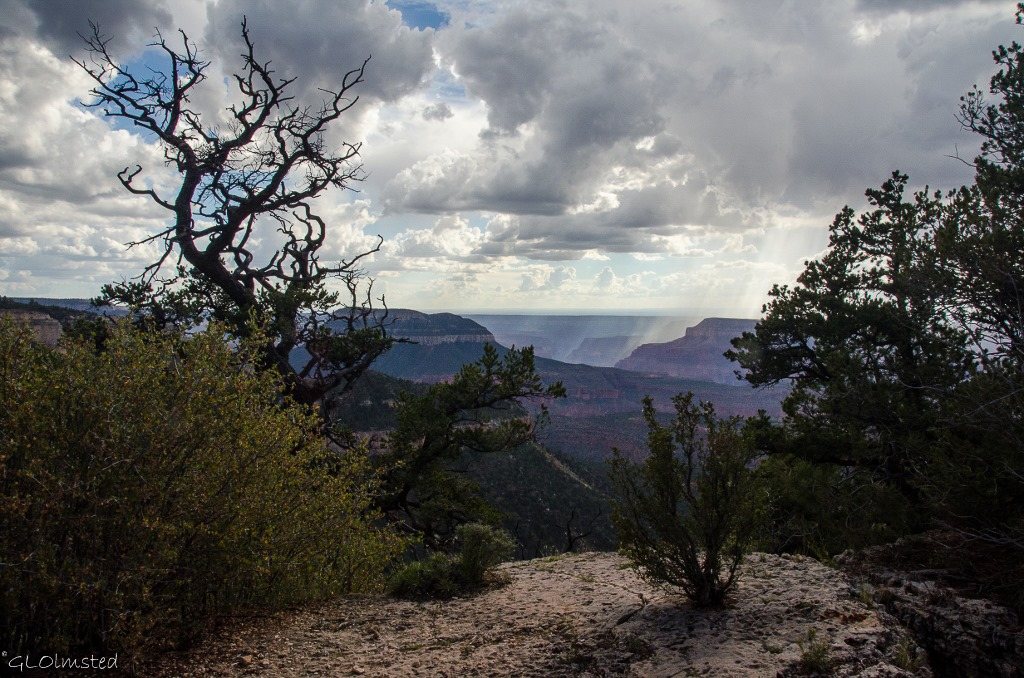 Rainy view South from Parissawampitts Point Kaibab National Forest Arizona