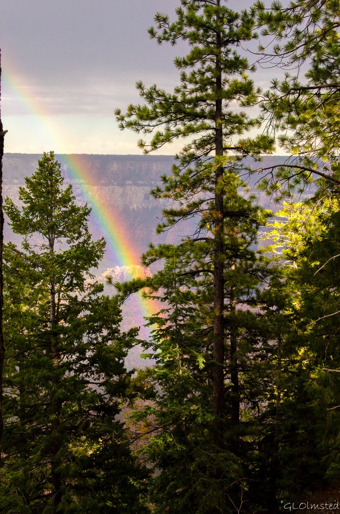 Rainbow in Roaring Springs Canyon North Rim Grand Canyon National Park Arizona