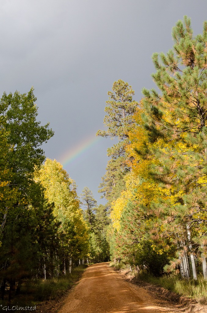 Rainbow and fall aspen Kaibab National Forest Arizona