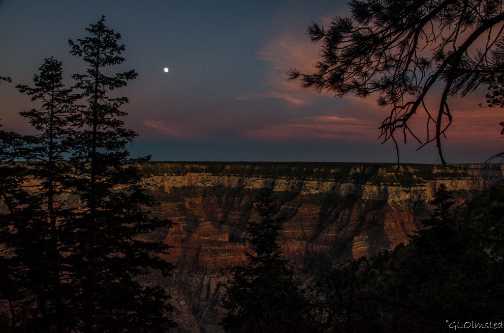 Moon and sunset colors over Walhalla Plateau North Rim Grand Canyon National Park Arizona