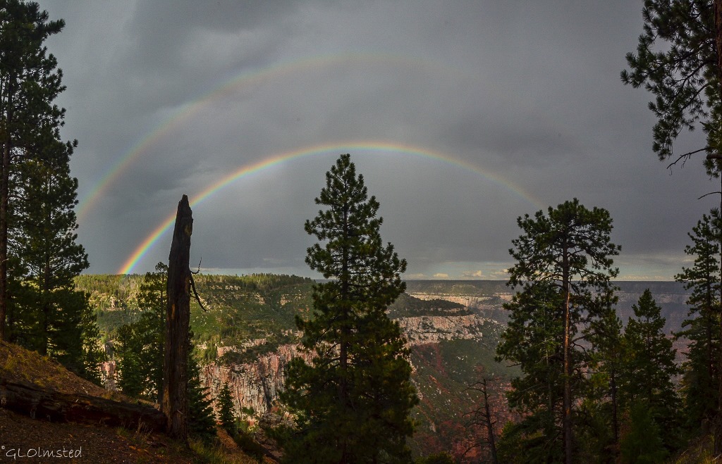 Rainbow over Roaring Springs Canyon North Rim Grand Canyon National Park Arizona