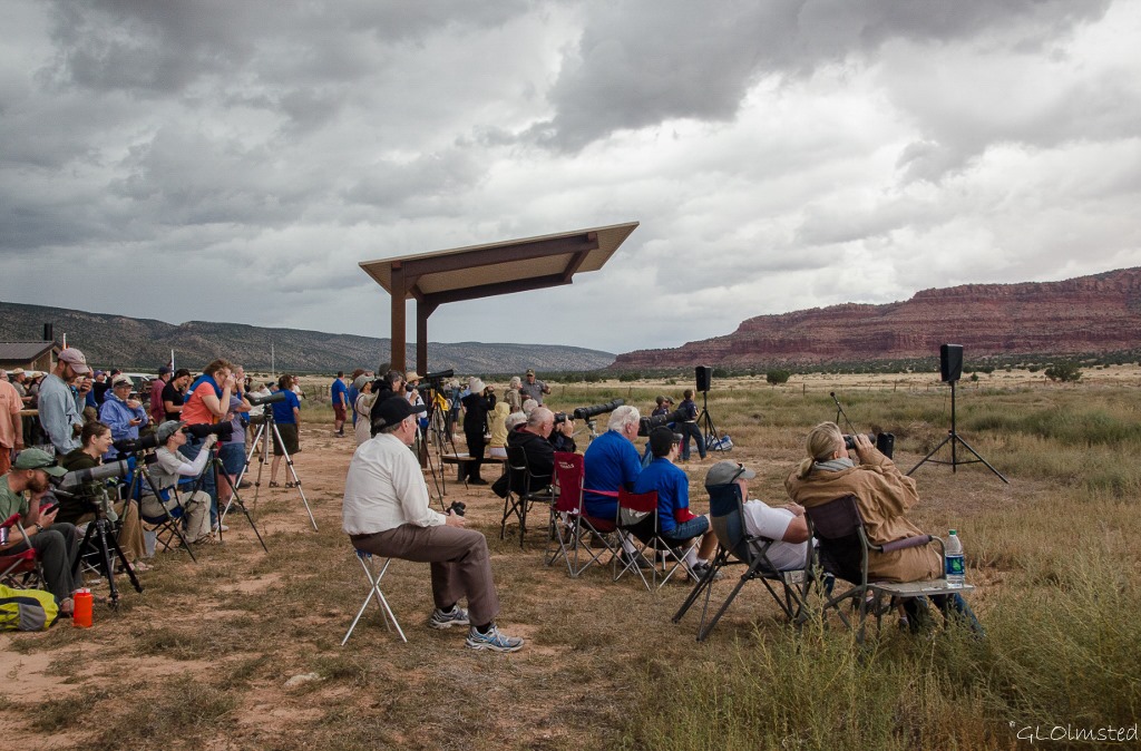 Crowd at Condor release Vermilion Cliffs Bureau of Land Management Arizona