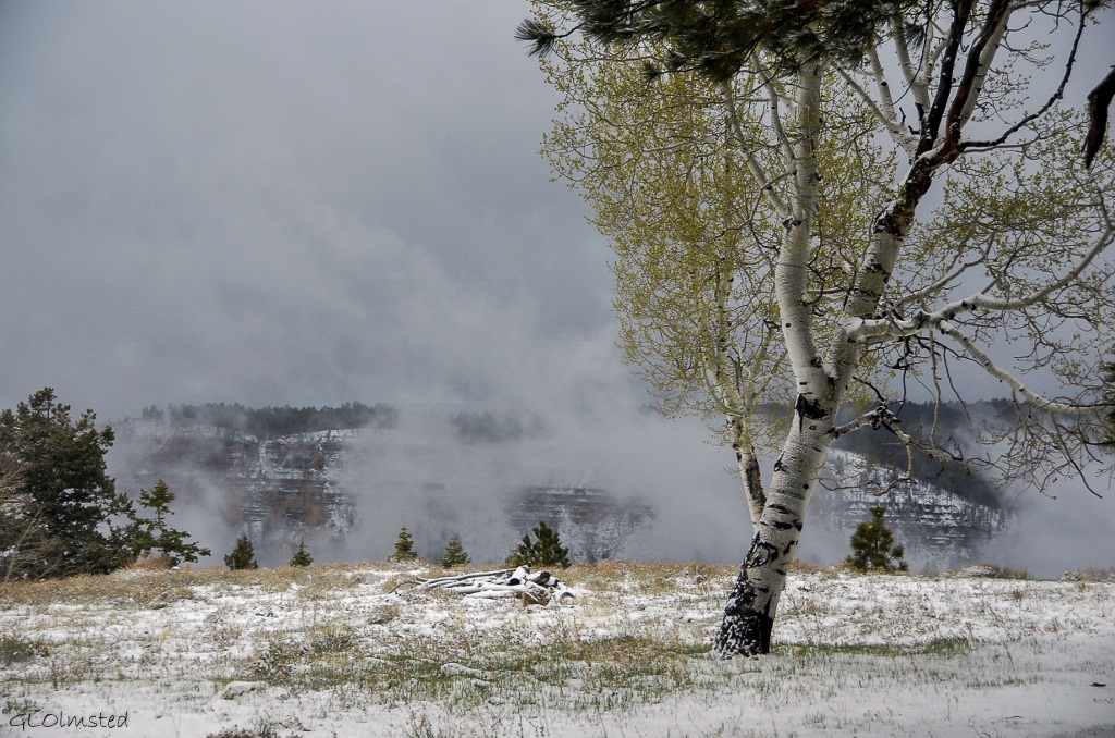 Fog & snowy view over Transept canyon from RV window North Rim Grand Canyon National Park Arizona