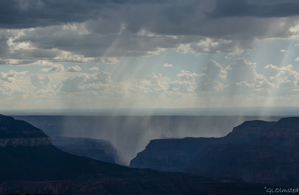 Rain in the canyon from Parissawampitts Point Kaibab National Forest Arizona
