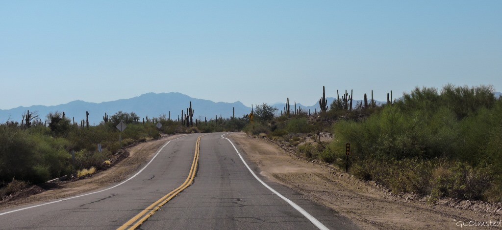 Sonoran desert Vulture Mine Road Arizona