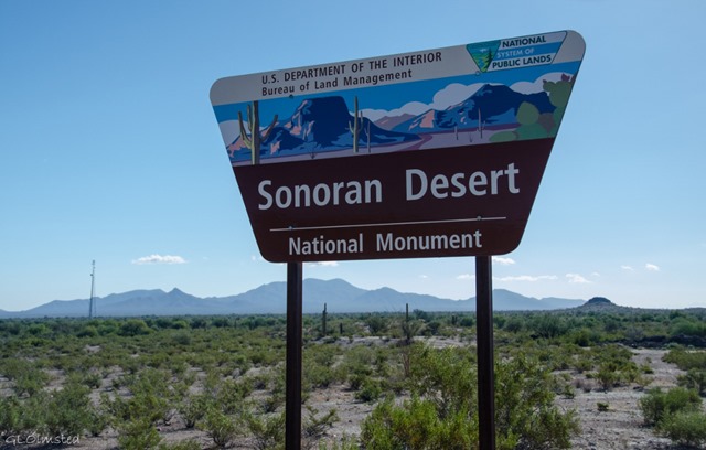 BLM sign Sonoran Desert National Monument Arizona