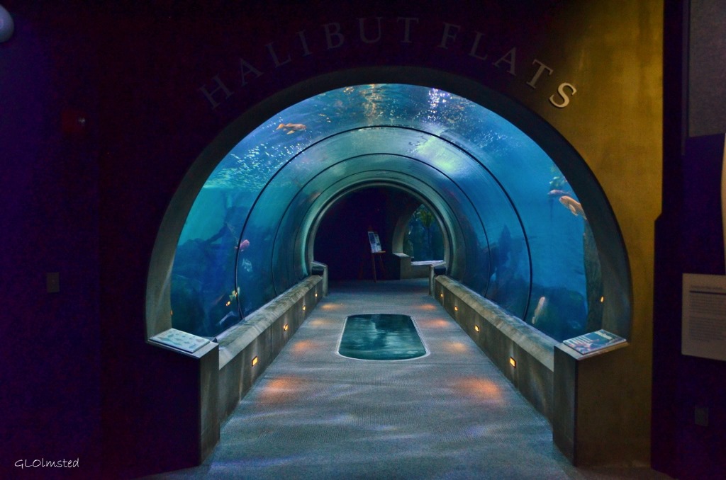 Halibut Flats entrance at Aquarium Newport Oregon