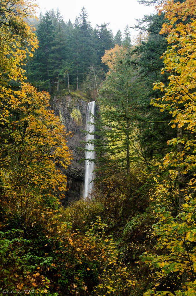 Latourell Falls Guy W Talbot State Park Columbia River Historic Scenic Highway Oregon