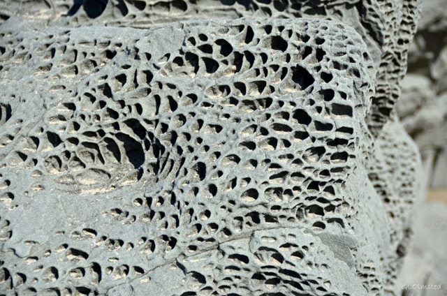 Honeycomb erosion on beach rock Bandon Oregon