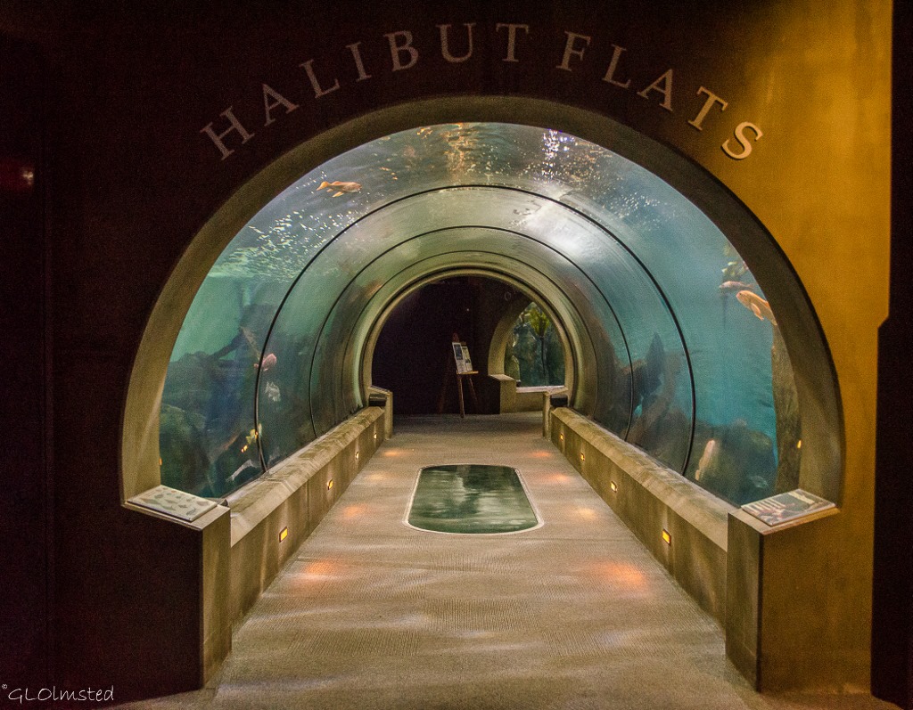 Entrance Halibut Flats Passages of the Deep Oregon Coast Aquarium Newport Oregon
