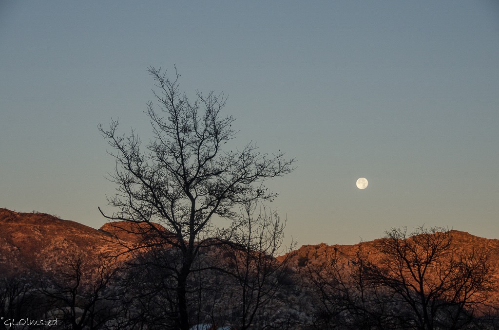 Moon set at sunrise over Weaver Mountains Yarnell Arizona