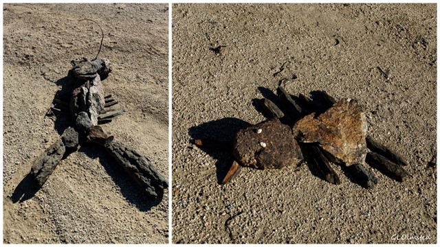 Rock scorpion & unknown Anza-Borrego Desert State Park California